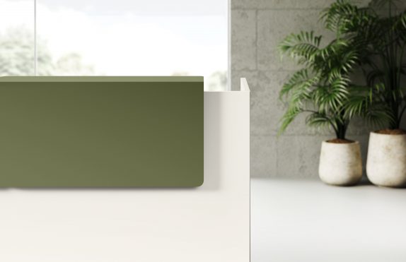 Point recepció - Image 10