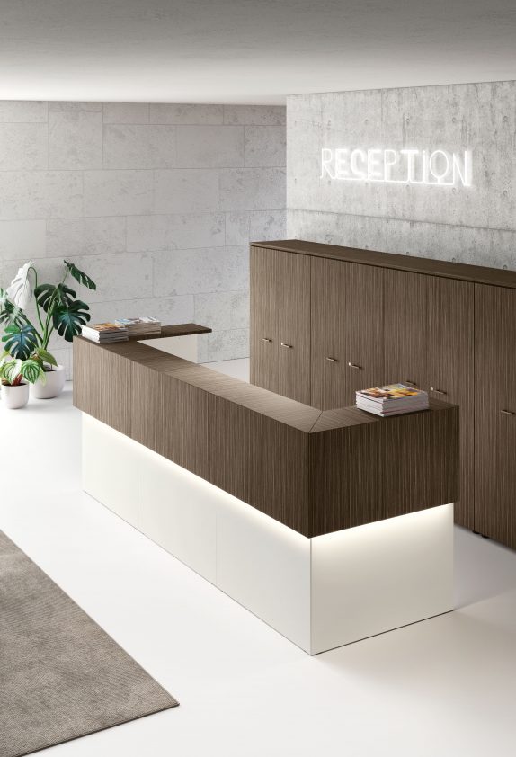 Point recepció - Image 8