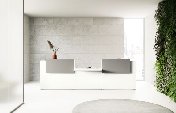 Point recepció - Image 3